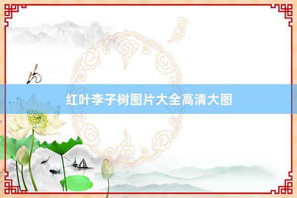 红叶李子树图片大全高清大图